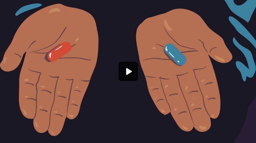 WideWorld Video Animation Showreel